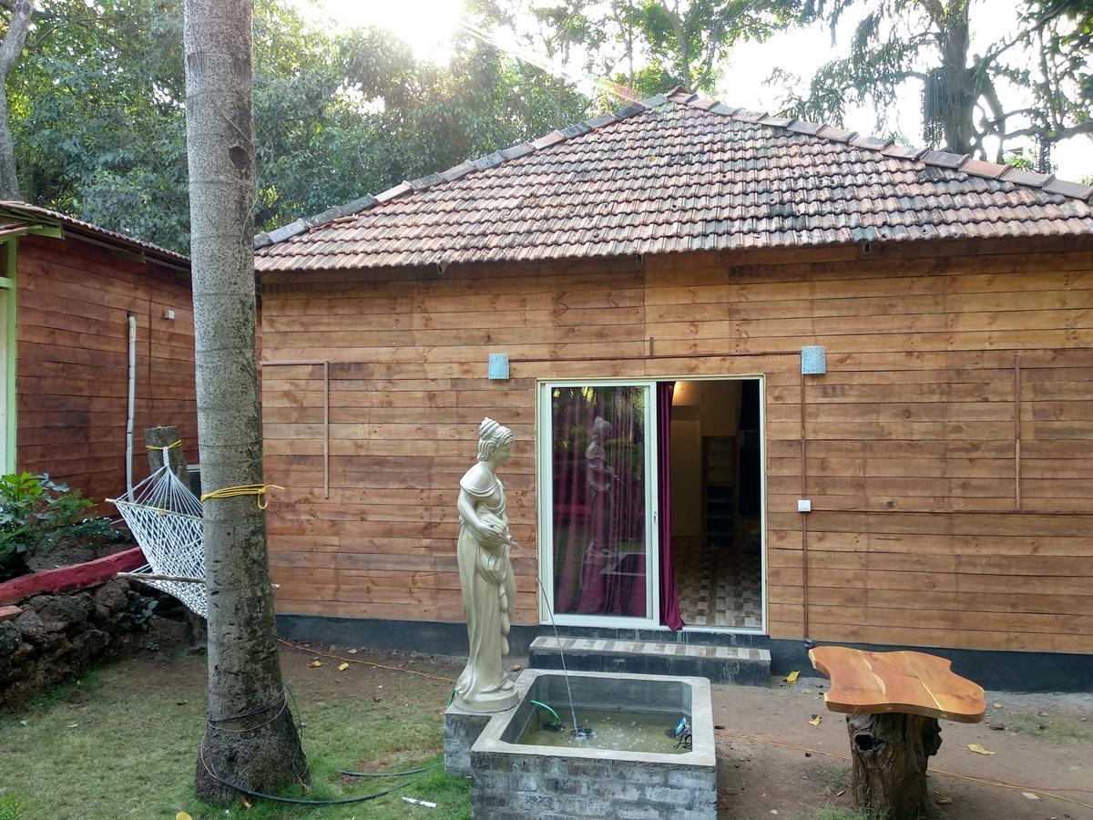 Hostel Curlies Zulu Land Andžuna Exteriér fotografie